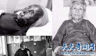 猫脸老太太 在线观看,神秘传说在线揭秘  第1张